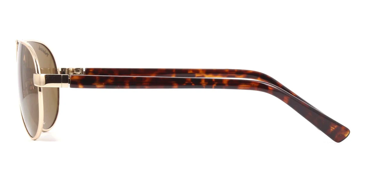 Carnegie MP694 C Polarised - Image 3