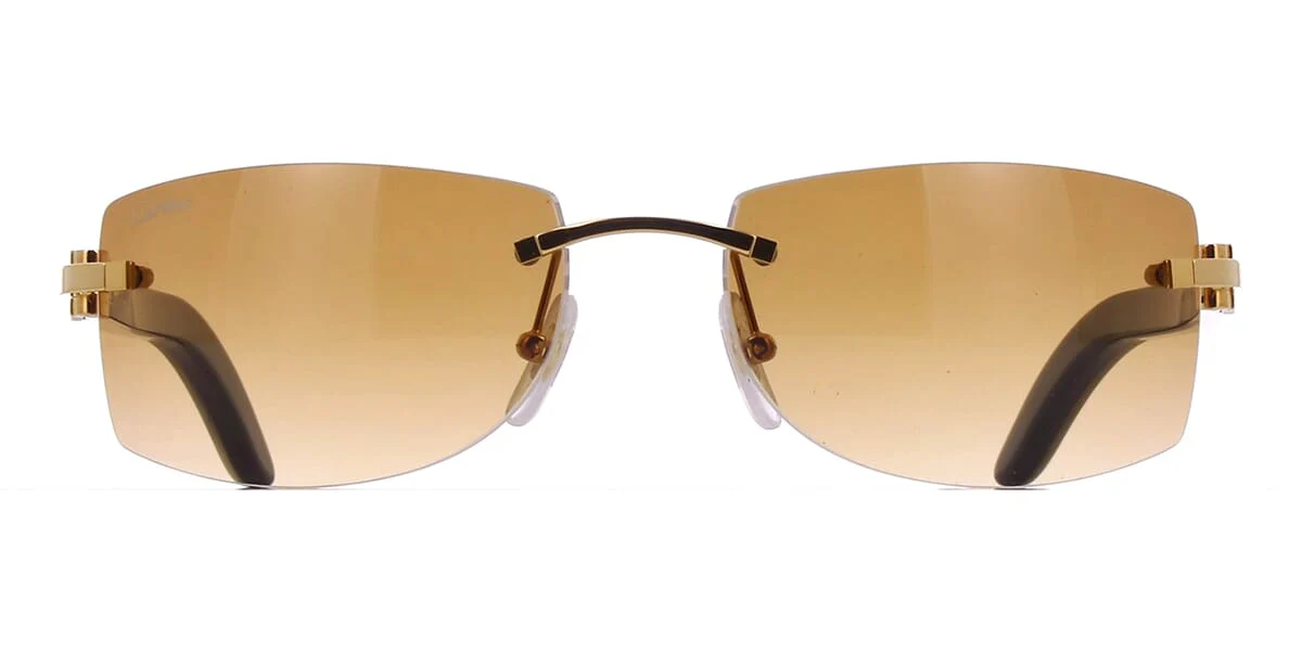 Cartier Buffalo Horn CT0017RS 001 7FA - Image 2