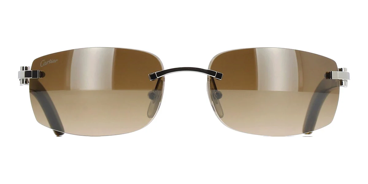 Cartier Buffalo Horn CT0018RS 001 - Image 2