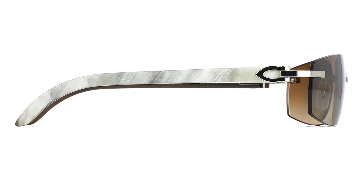 Cartier Buffalo Horn CT0018RS 001 - Image 3