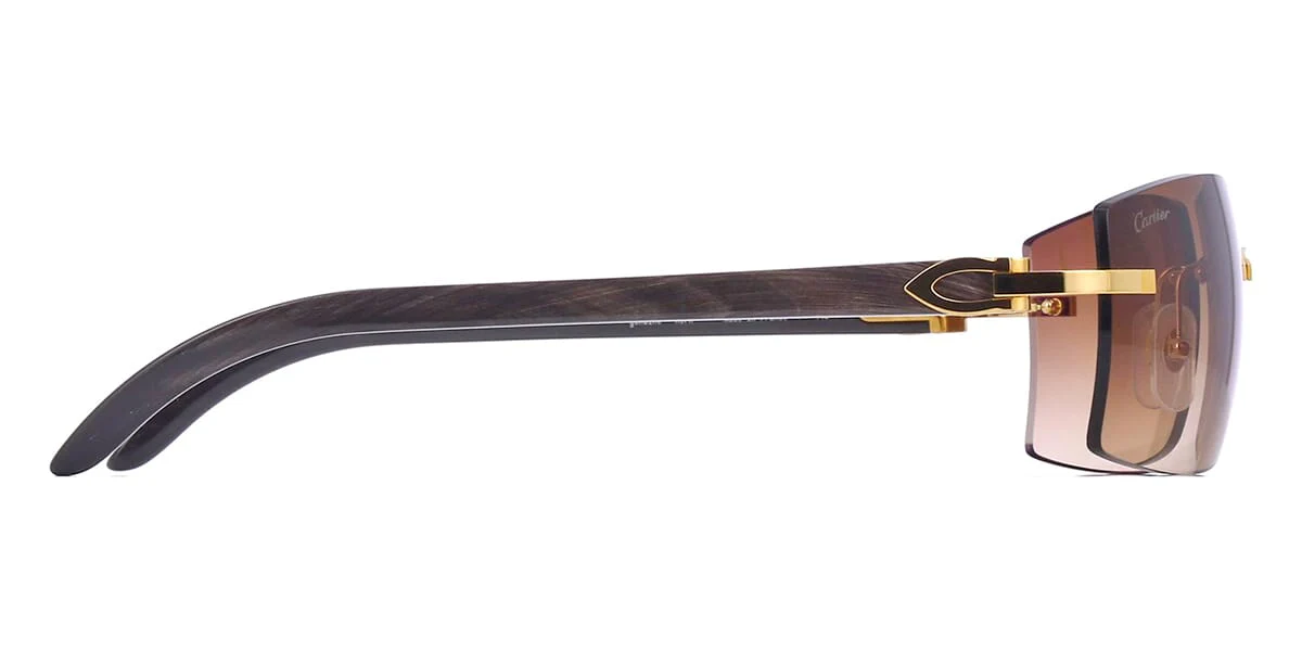 Cartier Buffalo Horn CT0021RS 001 - Image 3