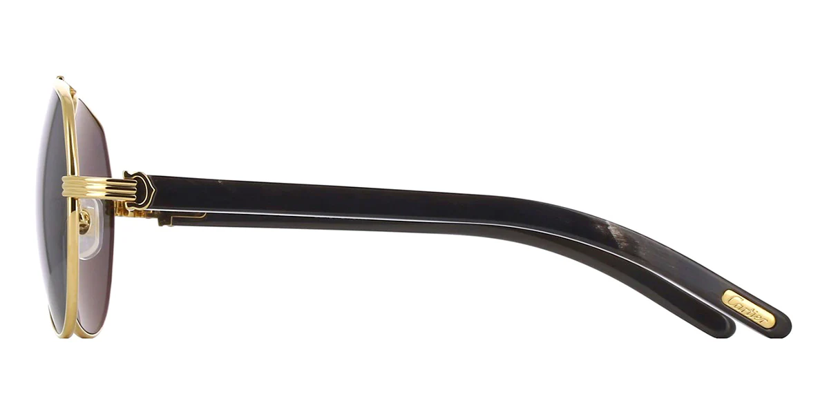 Cartier Buffalo Horn CT0272S 001 Polarised - Image 4