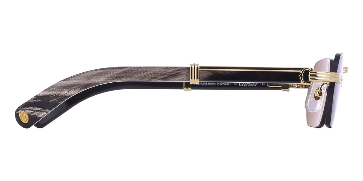 Cartier Buffalo Horn CT0362S 001 3J1 - Image 3