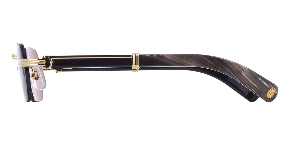 Cartier Buffalo Horn CT0362S 001 3J1 - Image 4