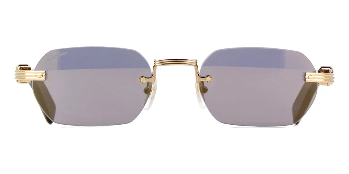 Cartier Buffalo Horn CT0362S 003 - As Seen On Timothée Chalamet & Joe Burrow - Image 2