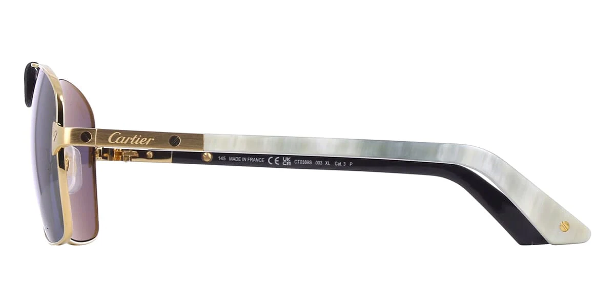 Cartier Buffalo Horn CT0389S 003 1H0 Polarised - Image 4