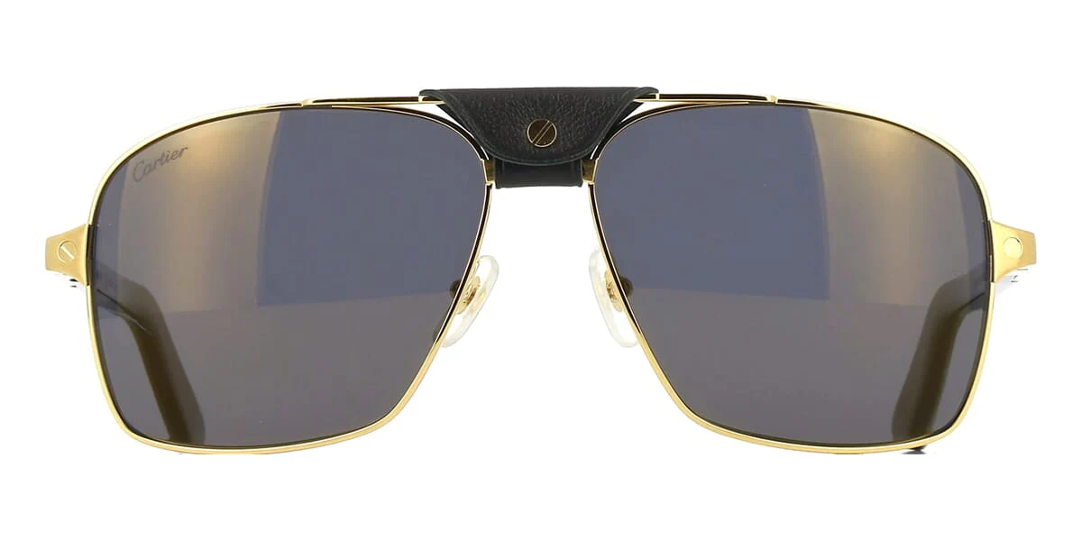 Cartier Buffalo Horn CT0389S 003 Polarised - Image 2