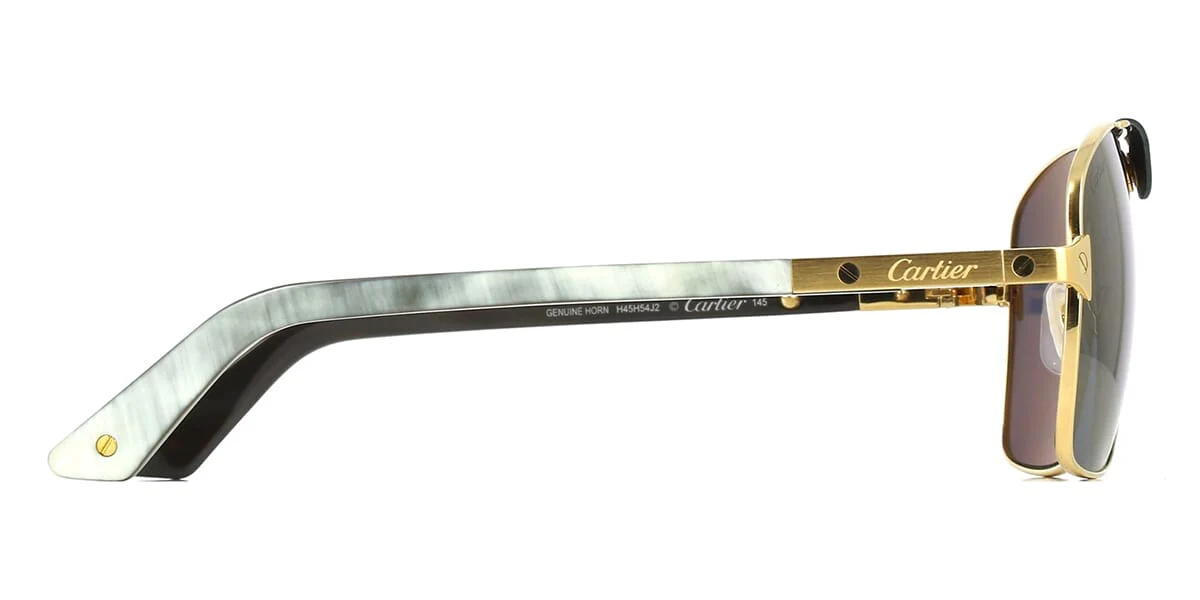 Cartier Buffalo Horn CT0389S 003 Polarised - Image 3