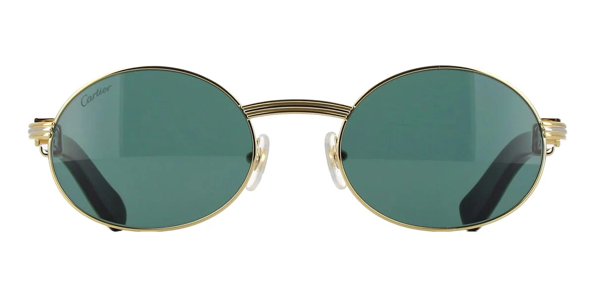 Cartier Buffalo Horn CT0464S 007 - As Seen On Anderson .Paak - Image 2