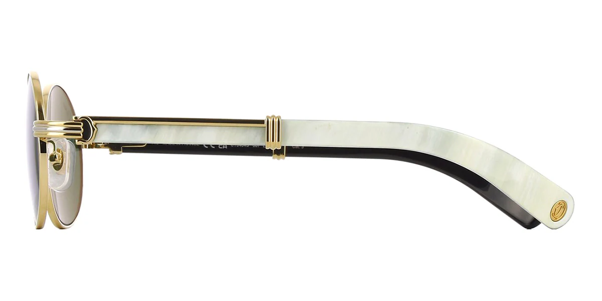Cartier Buffalo Horn CT0464S 007 - As Seen On Anderson .Paak - Image 5