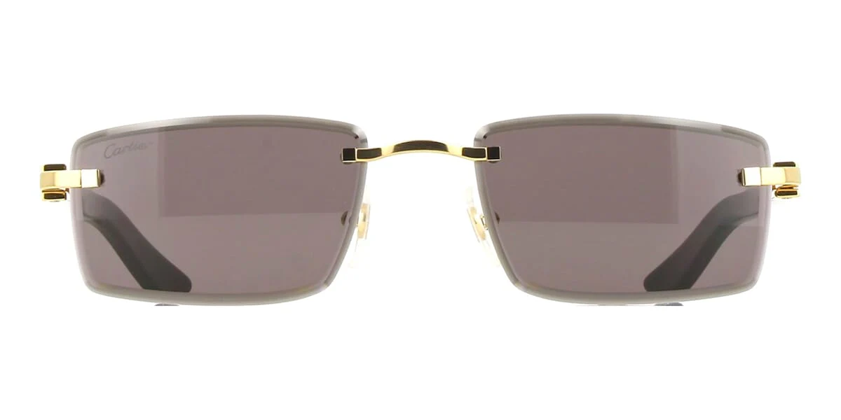 Cartier Buffalo Horn CT0582S 001 7G9 - Image 2