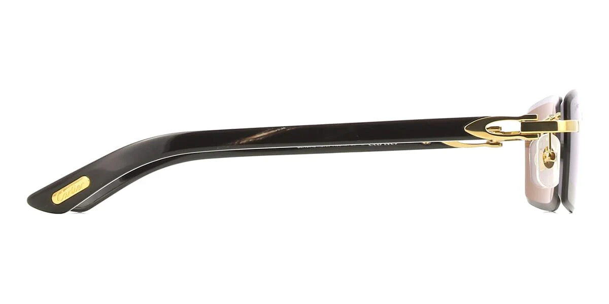 Cartier Buffalo Horn CT0582S 001 7G9 - Image 3