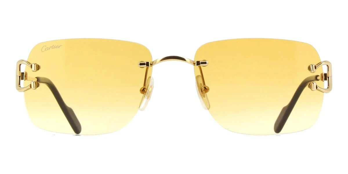 Cartier C Decor CT0330S 003 - As Seen On Dwayne Johnson - Image 2
