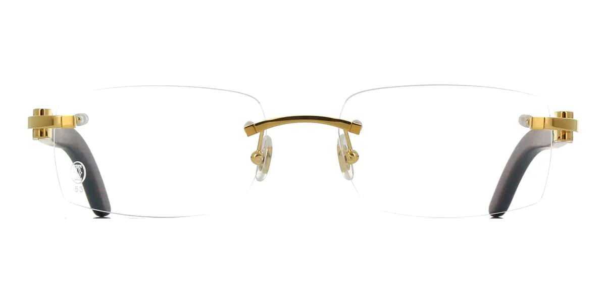 Cartier Ibiza CT0052O 005 - As Seen On 21 Savage - Image 2