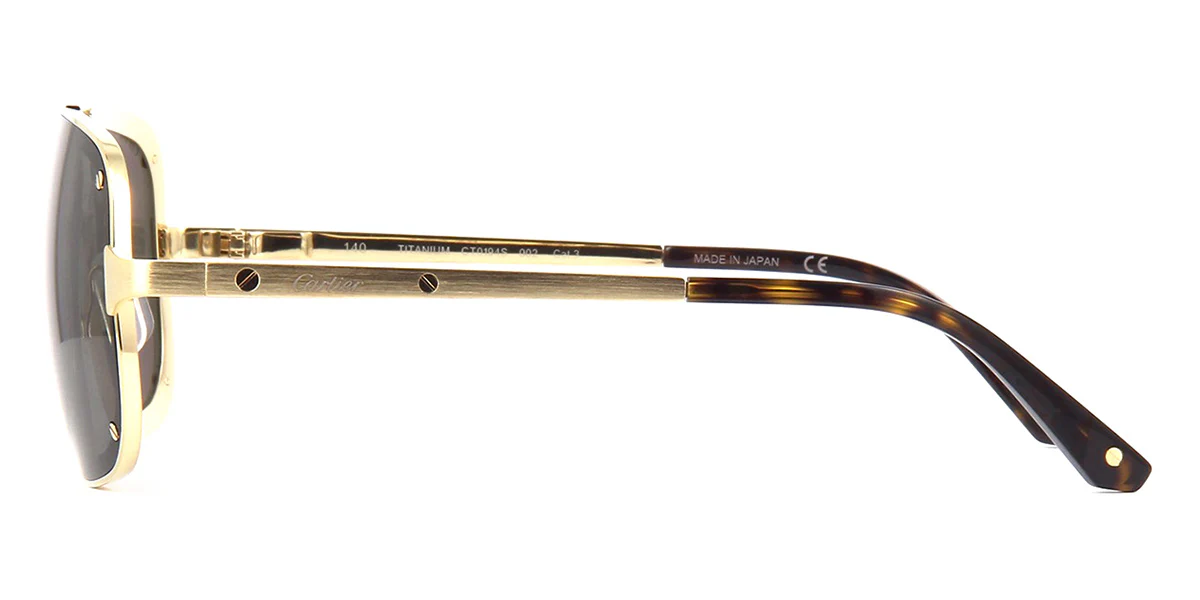 Cartier CT0194S 002 - Image 3