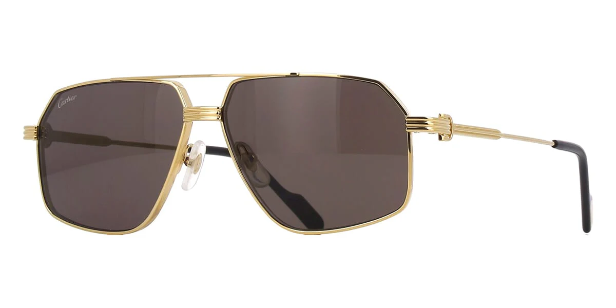 Cartier CT0270S 005