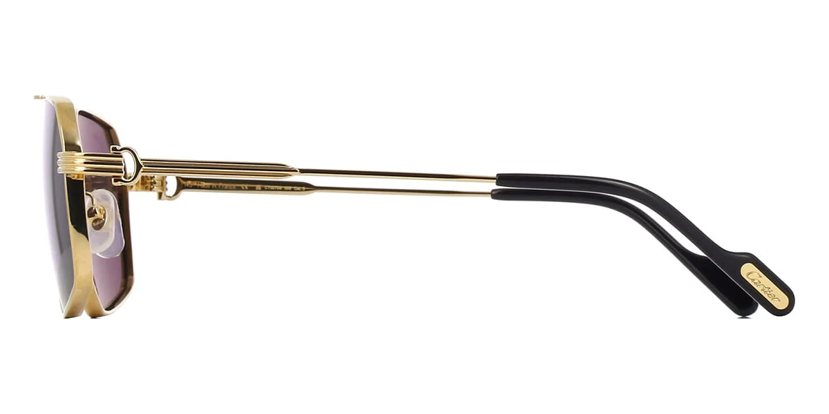 Cartier CT0270S 005 - Image 3