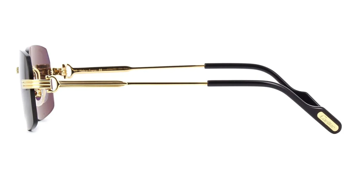 Cartier CT0271S 001 - As Seen On Travis Kelce & Baris Arduc - Image 2