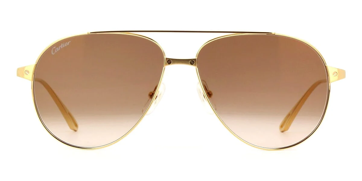 Cartier CT0298S 002 - As Seen On Lauren Sanchez - Image 2
