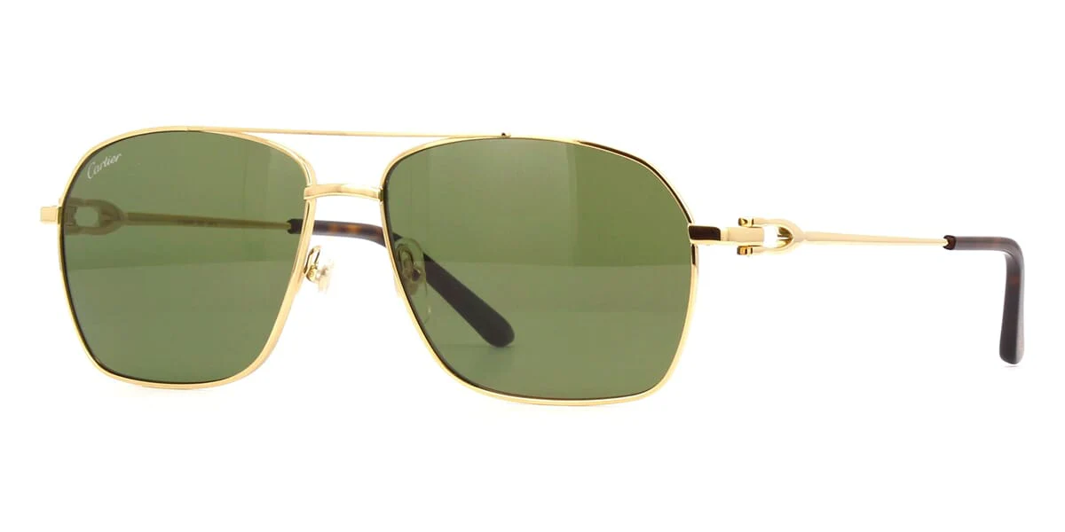 Cartier CT0306S 002