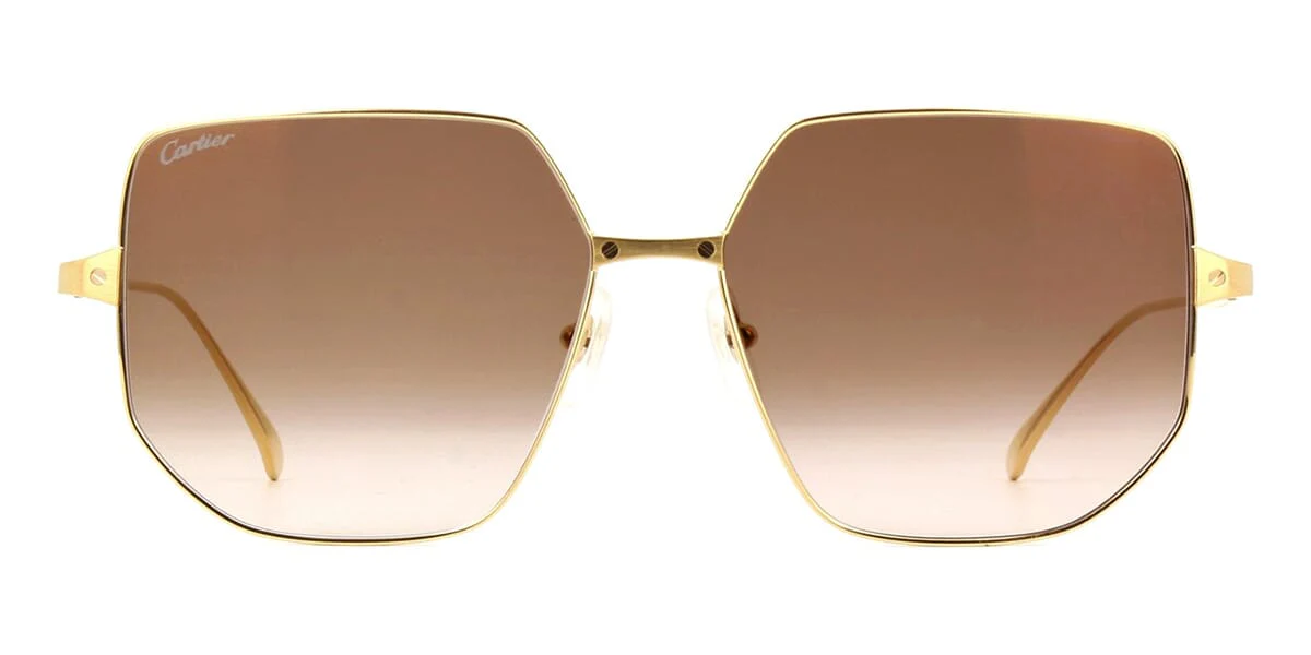 Cartier Santos CT0327S 002 - Image 2
