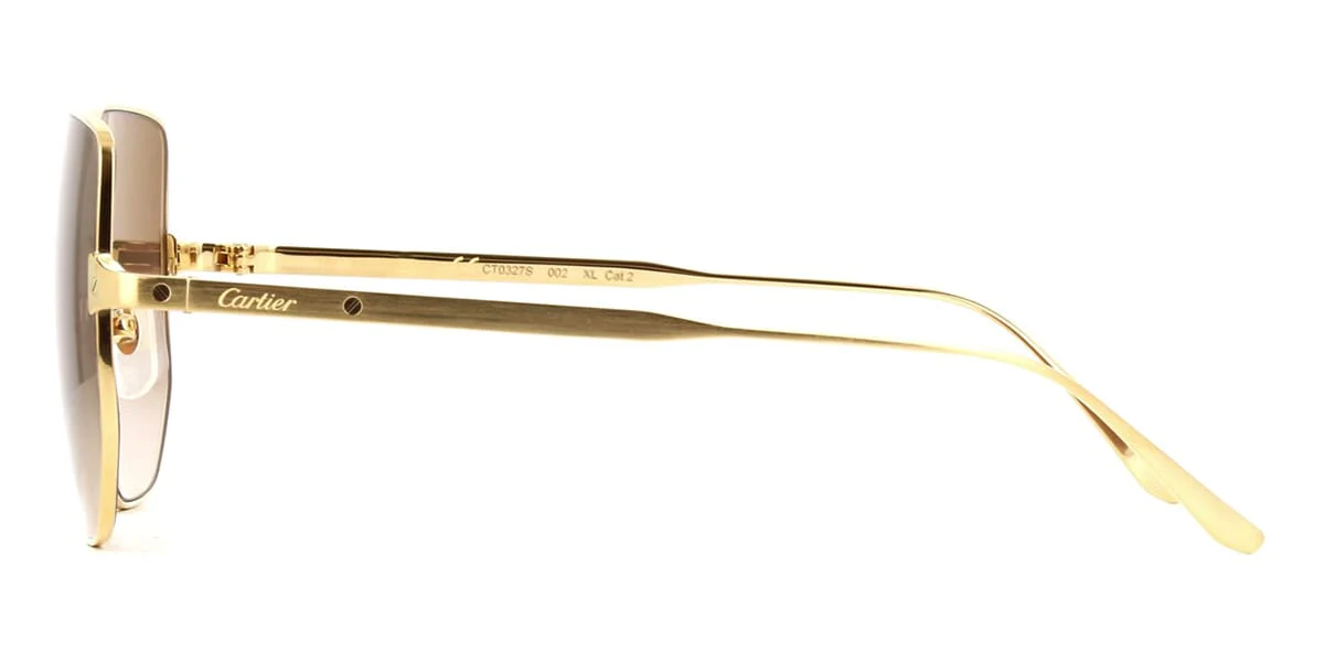 Cartier Santos CT0327S 002 - Image 3