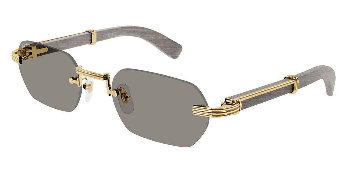 Cartier CT0362S 005