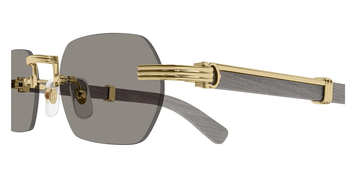 Cartier CT0362S 005 - Image 3