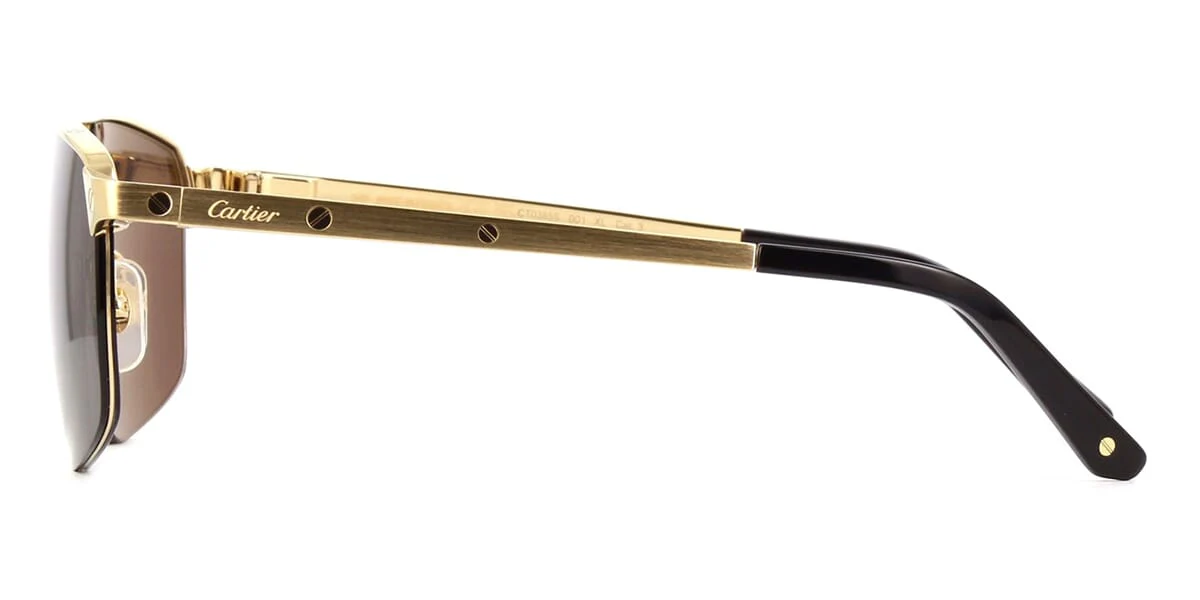 Cartier CT0385S 001 - As Seen On Chris Eubank Jr. - Image 3