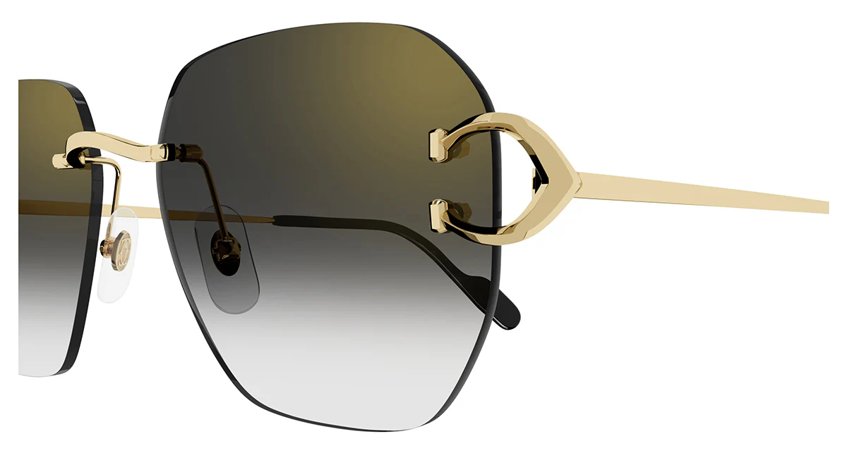 Cartier CT0394S 001 - Image 4