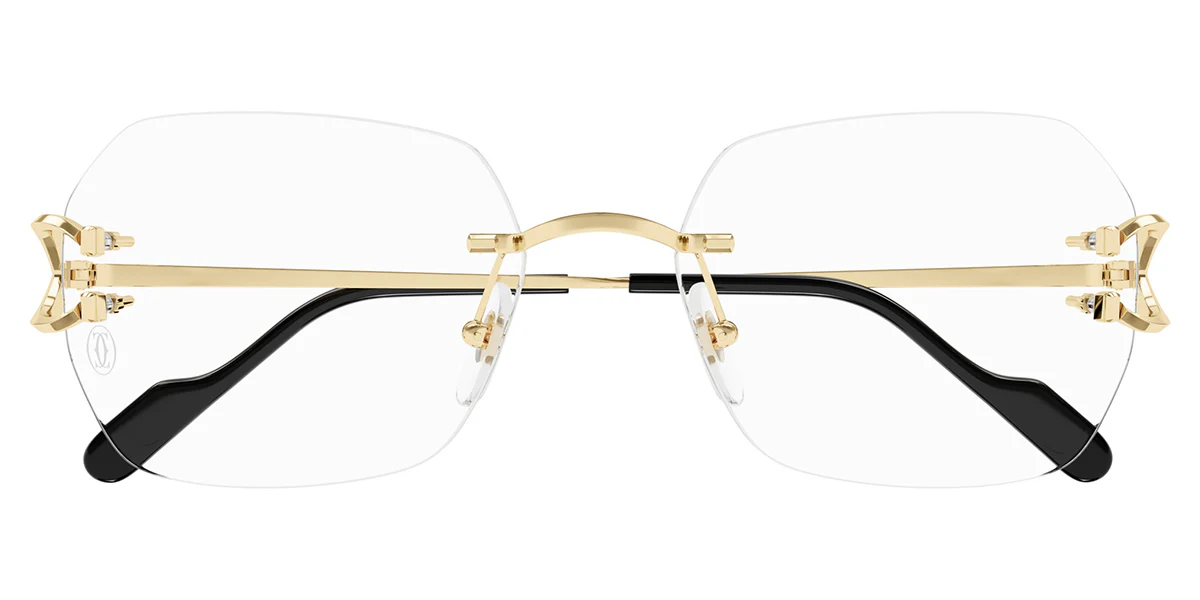 Cartier CT0416O 001 - As Seen On T.I. - Image 2