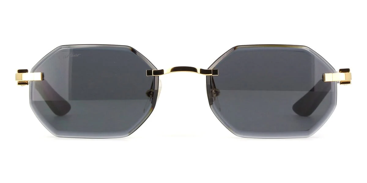 Cartier Buffalo Horn CT0439S 001 8C2 - Image 2