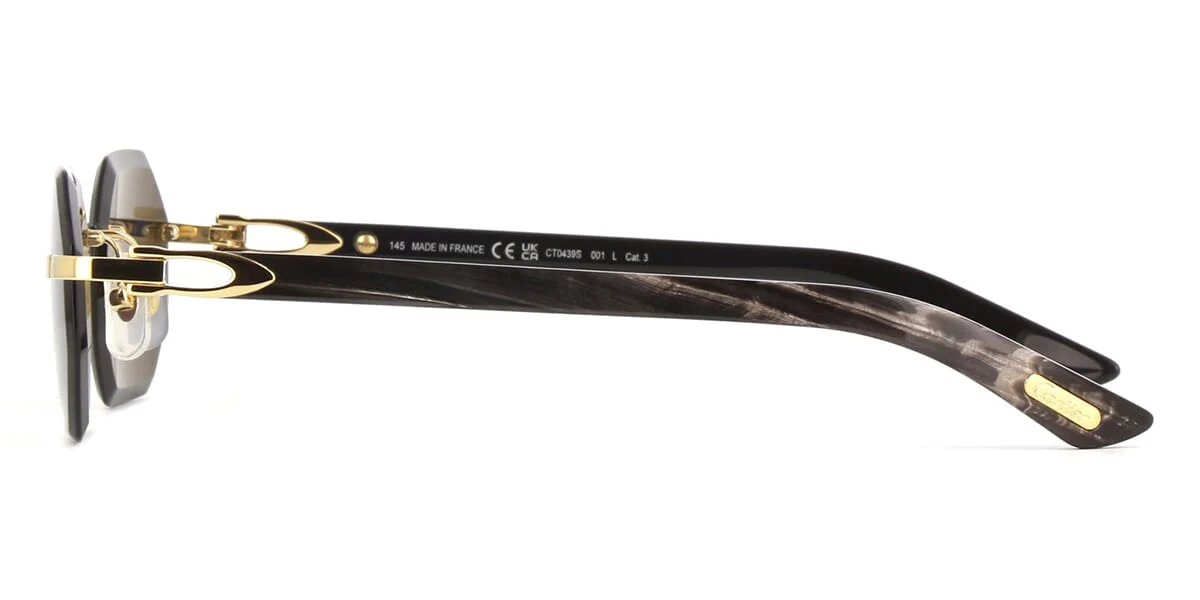 Cartier Buffalo Horn CT0439S 001 8C2 - Image 3