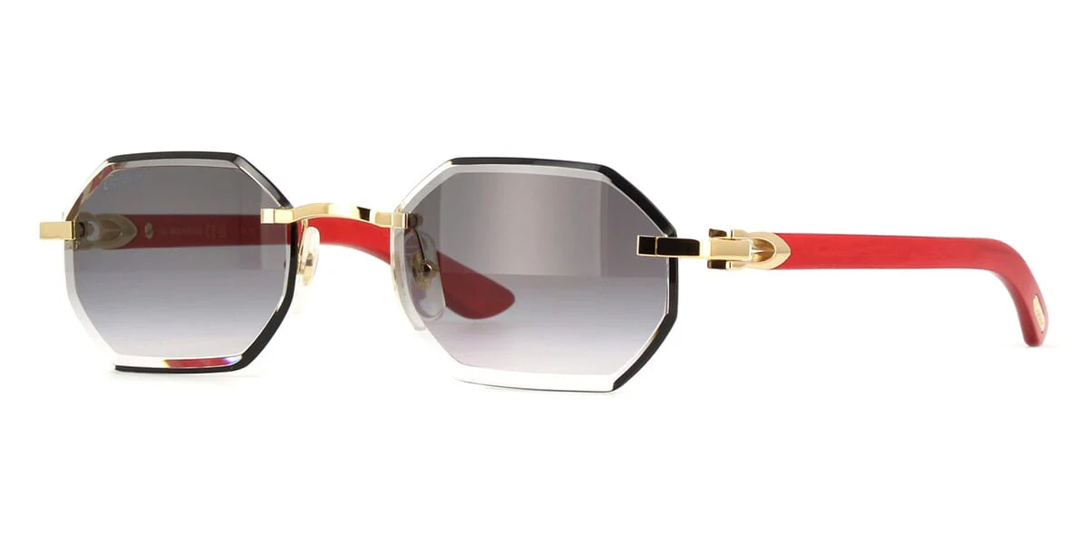 Cartier CT0439S 003 - As Seen On Jessica Kahawaty