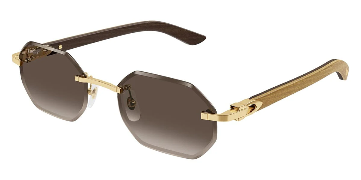 Cartier CT0439S 006