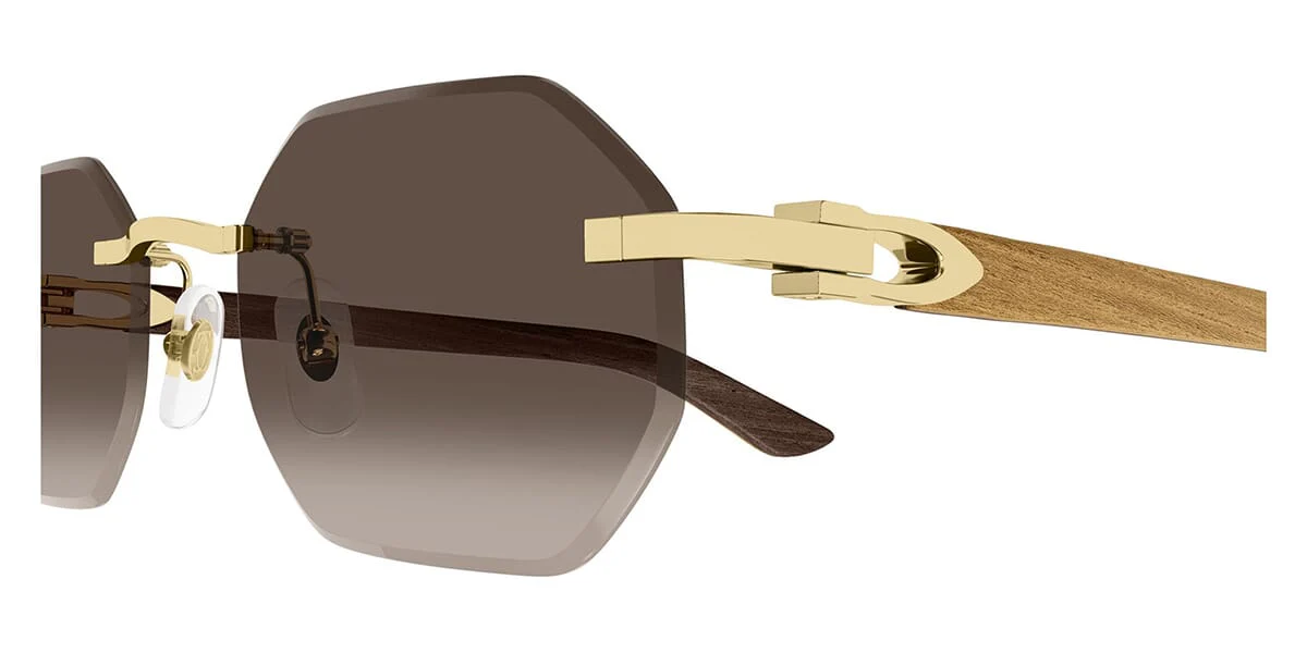 Cartier CT0439S 006 - Image 3