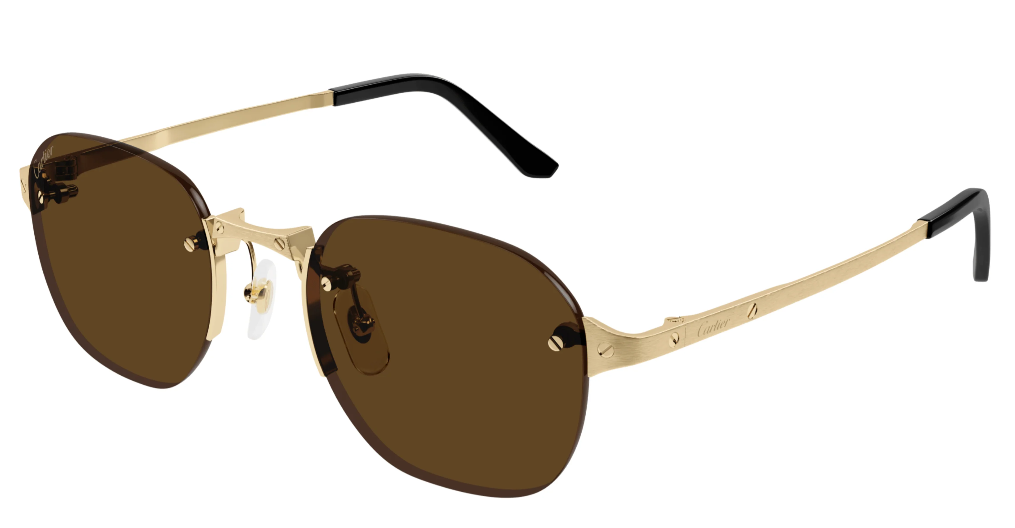 Cartier CT0459S 002 / 006