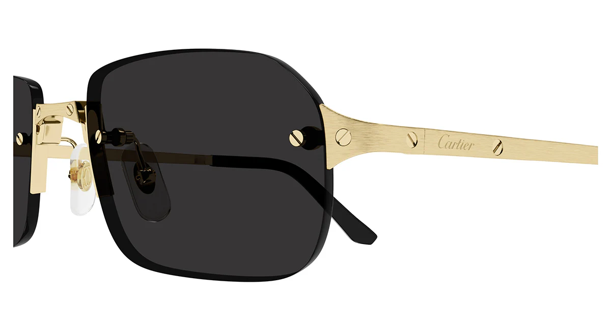 Cartier CT0460S 001 - Image 3