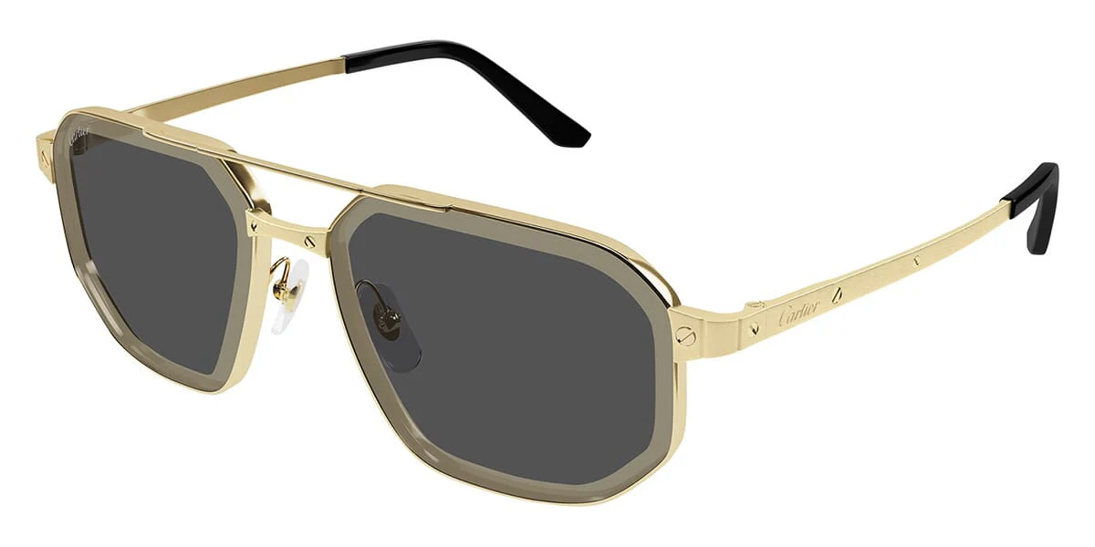 Cartier CT0462S 005
