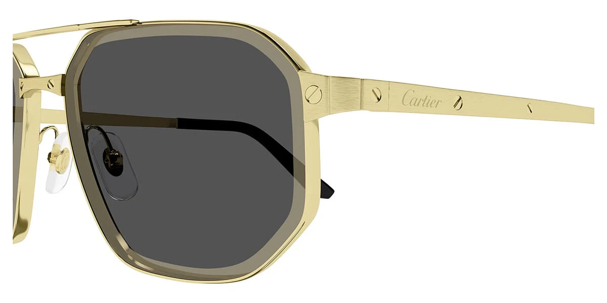 Cartier CT0462S 005 - Image 3