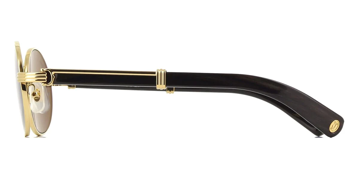 Cartier Buffalo Horn CT0464S 005 - Image 3