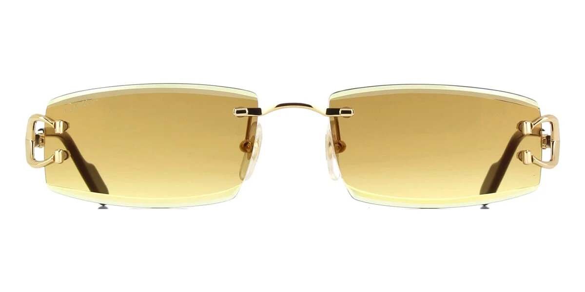 Cartier CT0465S 004 - As Seen On Danny Ramirez - Image 2