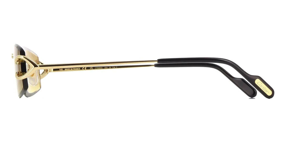 Cartier CT0465S 004 - As Seen On Danny Ramirez - Image 3