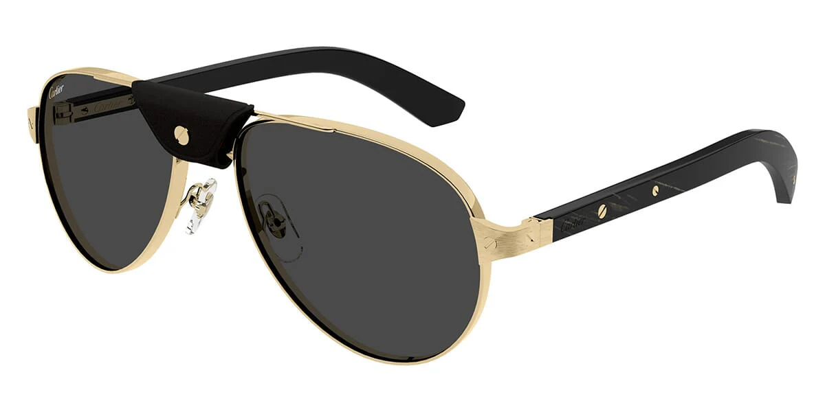 Cartier CT0495S 001 polarised