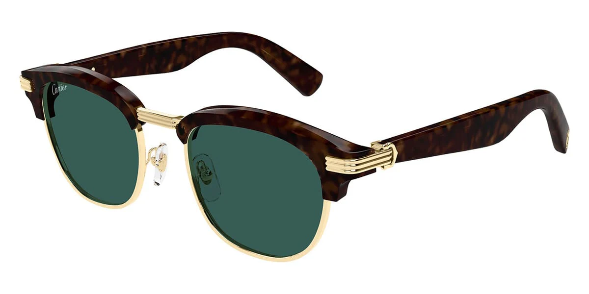 Cartier CT0496S 002