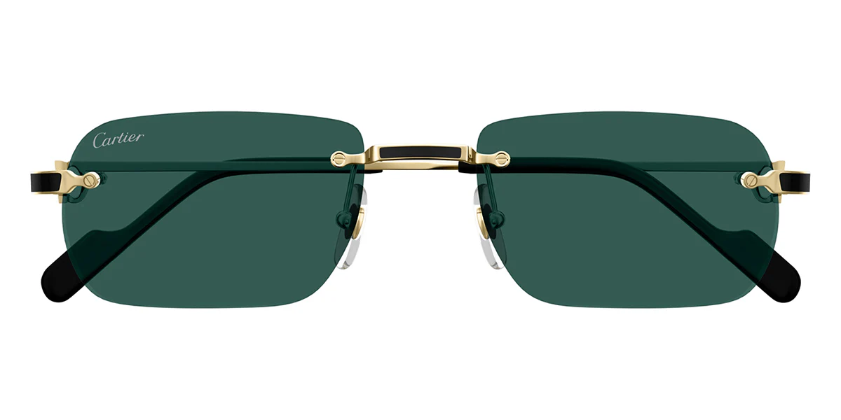 Cartier CT0498S 003 - Image 2
