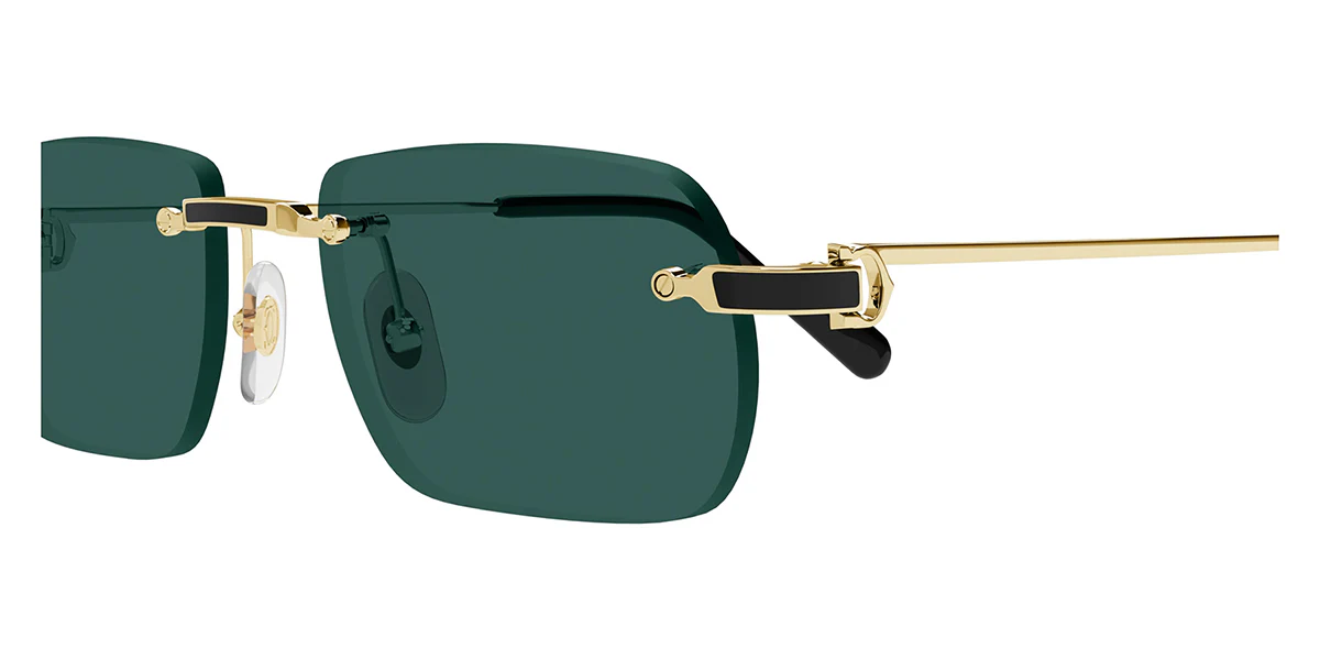 Cartier CT0498S 003 - Image 3