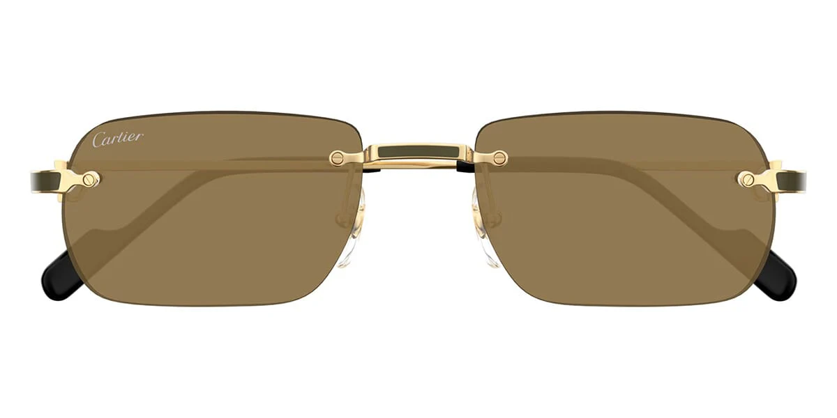 Cartier CT0498S 005 - As Seen On Kim Kardashian & Alexis Sanchez - Image 2