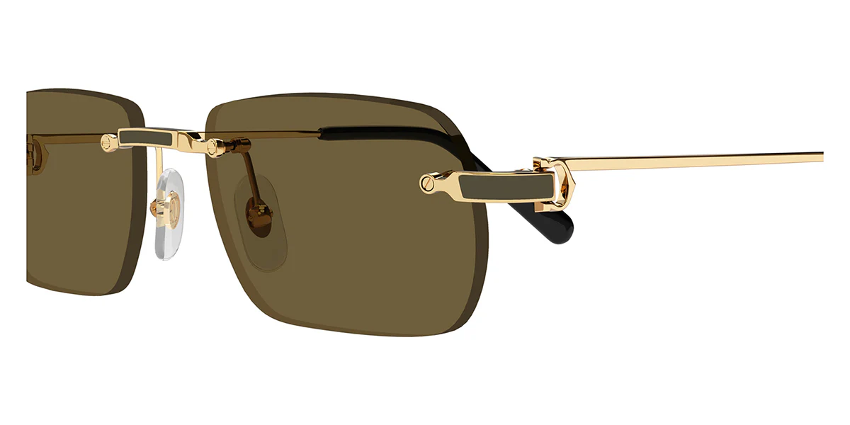 Cartier CT0498S 005 - As Seen On Kim Kardashian & Alexis Sanchez - Image 3