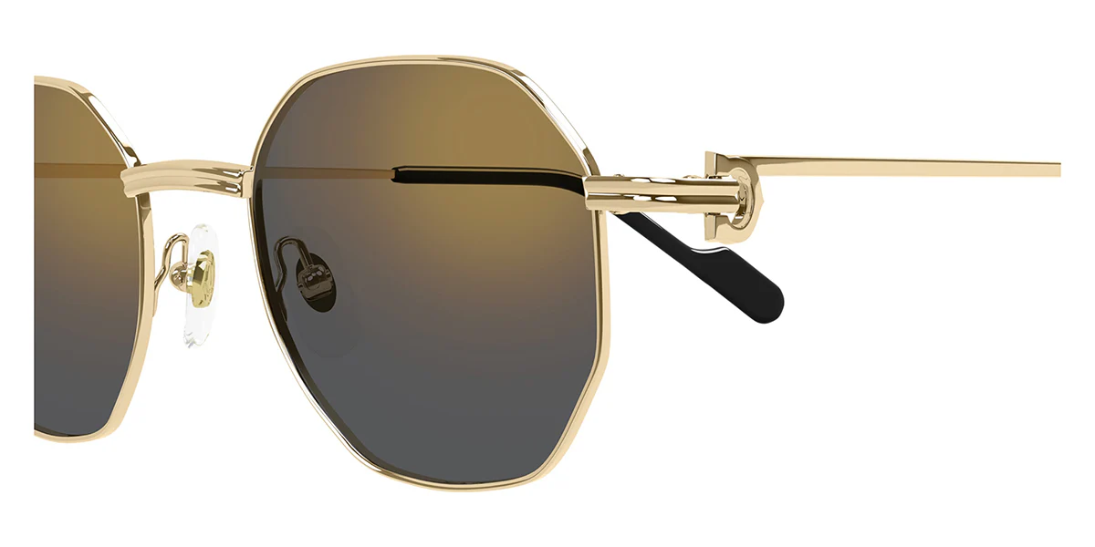Cartier CT0500S 001 - As Seen On Suryakumar Yadav - Image 3